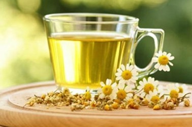 Cúc hoa trị hoa mắt, chóng mặt